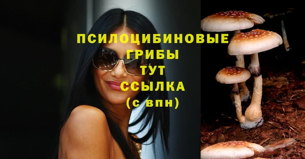 прущие крисы Нязепетровск