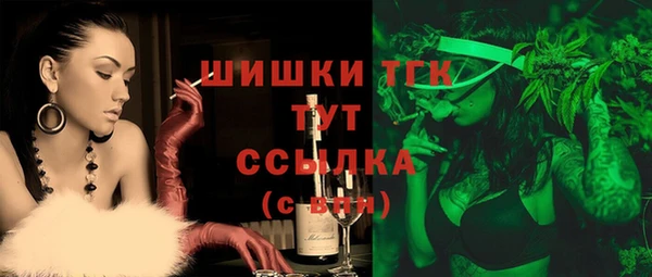 твердый Няндома