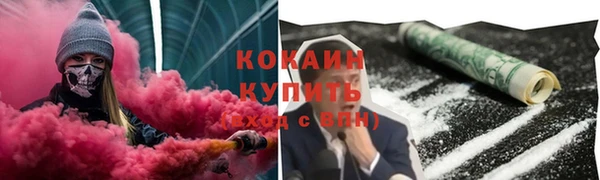 твердый Няндома