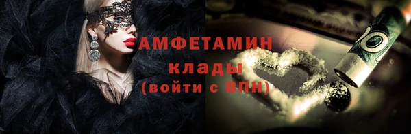 твердый Няндома