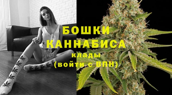 твердый Няндома