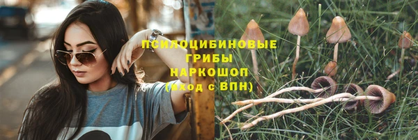 твердый Няндома