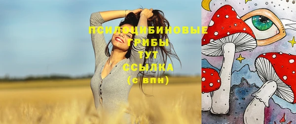 прущие крисы Нязепетровск