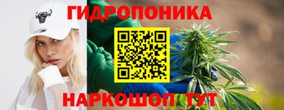 крисы Азнакаево