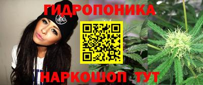крисы Азнакаево