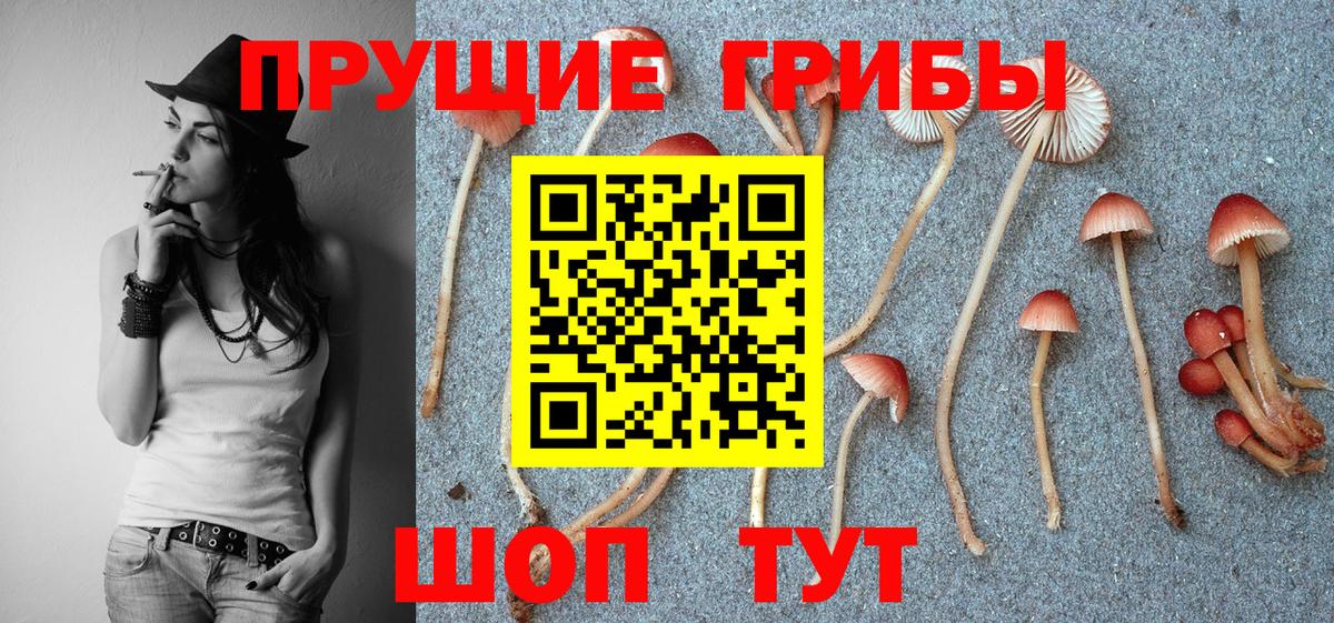 Галлюциногенные грибы ЛСД  Вход с VPN  Псилоцибиновые грибы Psilocybe  как найти   Апатиты 